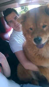 Ginger