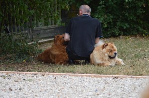 Lion, Frédéric et Gimmy