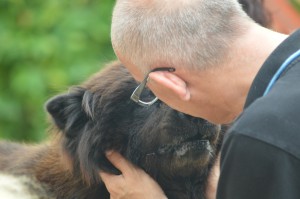...et je vais faire un gros câlin à Frédéric, chez qui j'ai été en FA. Pas longtemps, mais assez pour l'aimer.