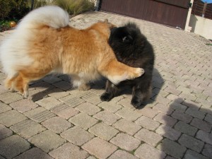 Moi et ma copine Imaé ! "Tu connais cette nouvelle prise de judo ! Et hop !... Non j'rigole !"