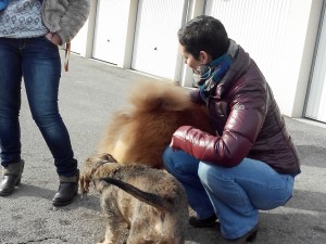 Farouk et Baïka