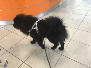 Hermès