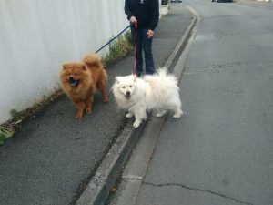Alby et Haustin