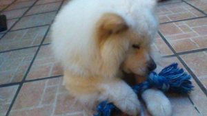 Alby