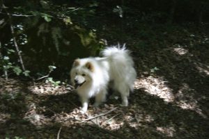 Alby