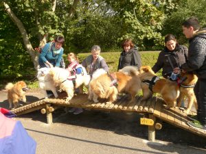 Tous sur le pont!